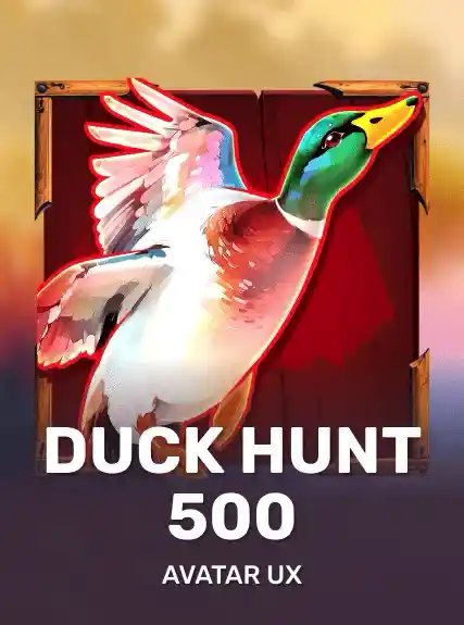 Duck Hunt 500