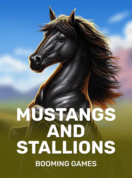 Mustangs and Stallions