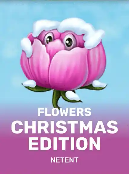 Flowers Christmas Edition