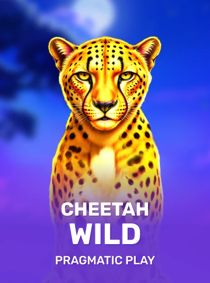 Cheetah Wild