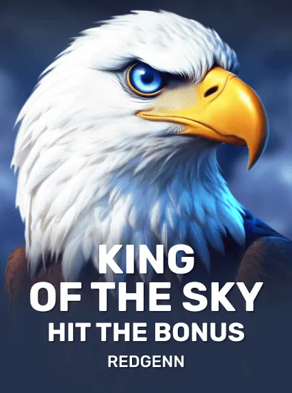 King of the Sky: Hit the Bonus